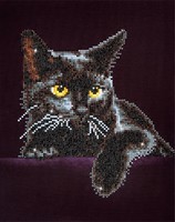 Midnight Cat Diamond Dotz: 28x36 cm (DD5.001)