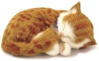 Perfect Petzzz soft Orange Tabby (92547)