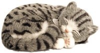 Perfect Petzzz soft Gray Tabby (92561)