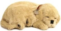 Perfect Petzzz soft Golden Retriever (96118)