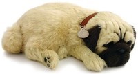 Perfect Petzzz soft Pug (96194)