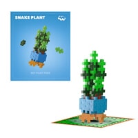 Plant Packs - Snake Plant Plus-Plus Flowers & Plants (4342)