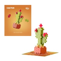 Plant Packs - Cactus Plus-Plus Flowers & Plants (4343)