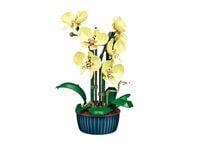 Sluban PLEYERID Yellow orchid 211pcs (M38-P8063C)