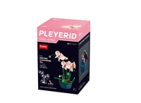 Pleyerid-Butterfly And Flower 323Pcs Sluban Pleyerid (M38-P8065)