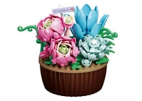 Sluban PLEYERID Potted Plants - Succulents 181pcs (M38-P8082)