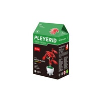Plant Sluban - rode palmboom: 532 stuks (M38-B1075A)