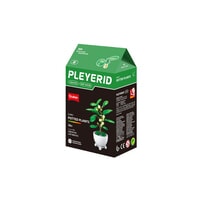 Plant Sluban - vijgenboom: 532 stuks (M38-B1075B)