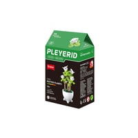 Plant Sluban - witte bloem: 532 stuks (M38-B1075D)