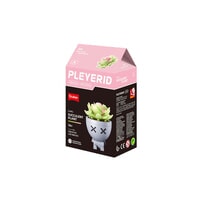 Plant Sluban - vetplantje roze/groen: 520 stuks (M38-B1076A)