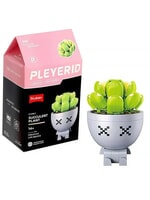 Plant Sluban - vetplantje groen/geel: 520 stuks (M38-B1076D)