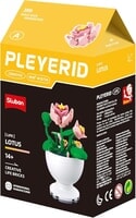 Plant Sluban - lotus: 515 stuks (M38-B1077A)