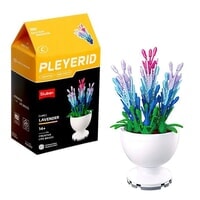 Plant Sluban - lavendel: 515 stuks (M38-B1077C)